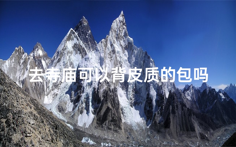 去寺庙可以背皮质的包吗(便携禅意，寺庙专用背包)