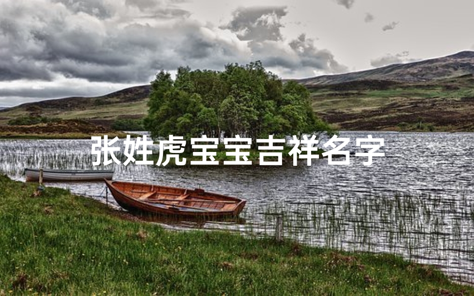 张姓虎宝宝吉祥名字