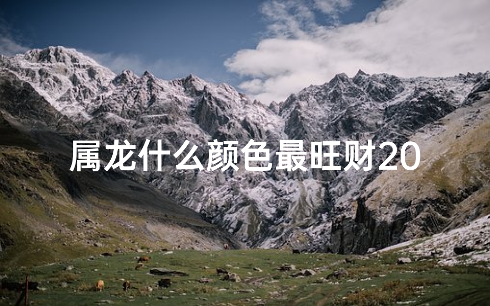 属龙什么颜色最旺财2024-2012年属龙旺色揭秘：哪个颜色最旺运势