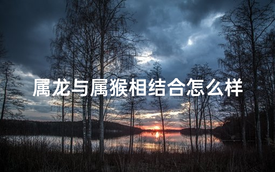 属龙与属猴相结合怎么样,属龙属猴相差多少年？揭秘生肖年龄差距