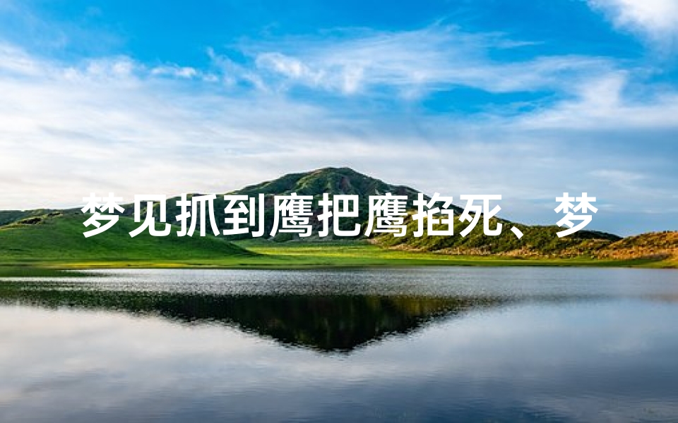 梦见抓到鹰把鹰掐死、梦见鹰把自己抓走了