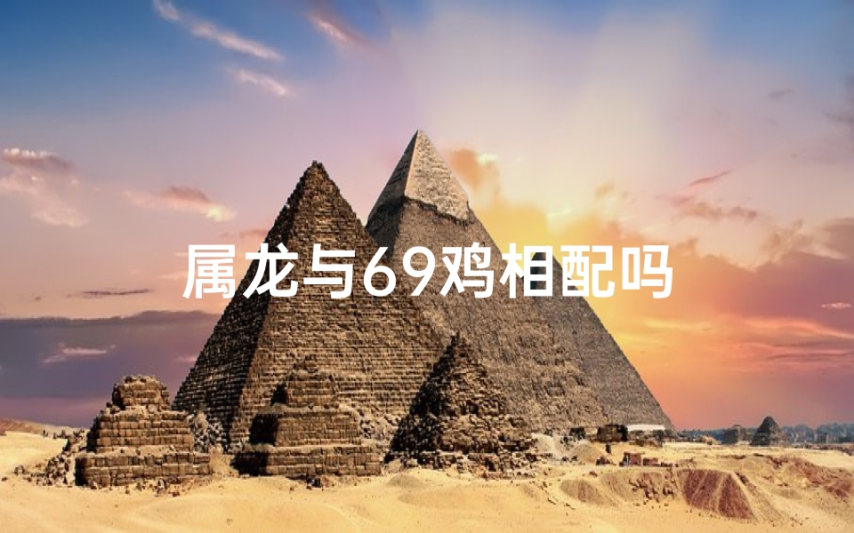 属龙与69鸡相配吗