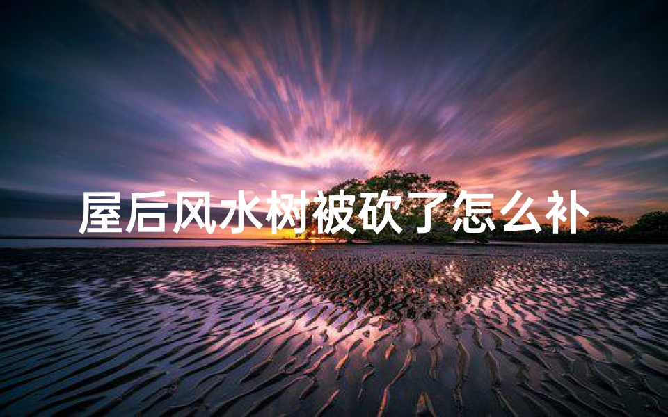 屋后风水树被砍了怎么补救(屋后树砍了，风水受影响？揭秘真相)