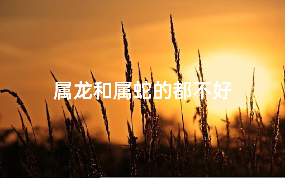 属龙和属蛇的都不好