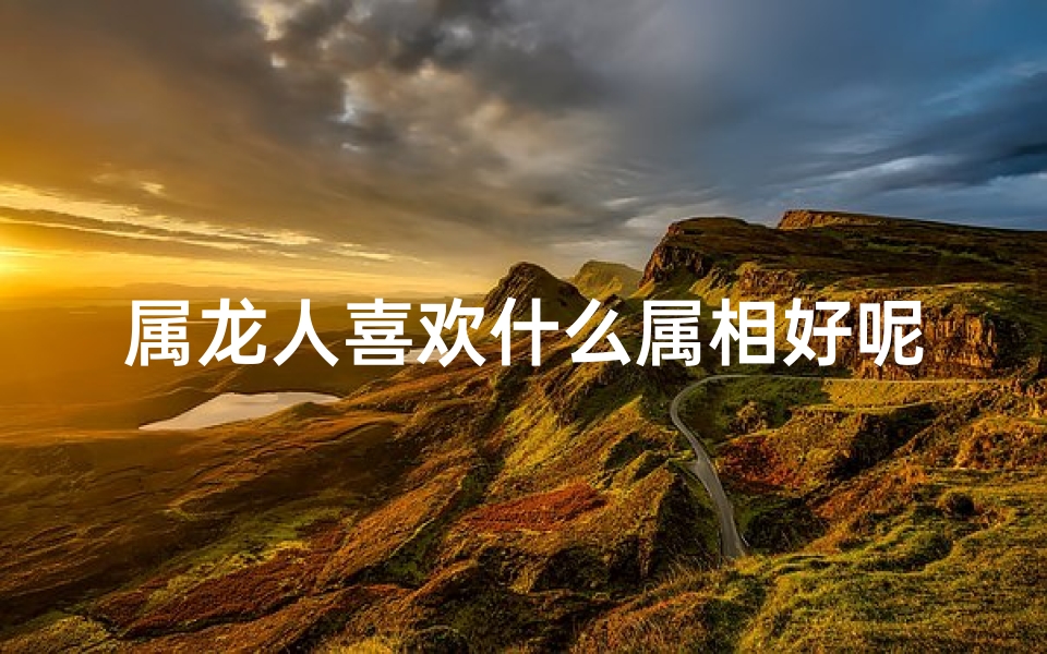 属龙人喜欢什么属相好呢