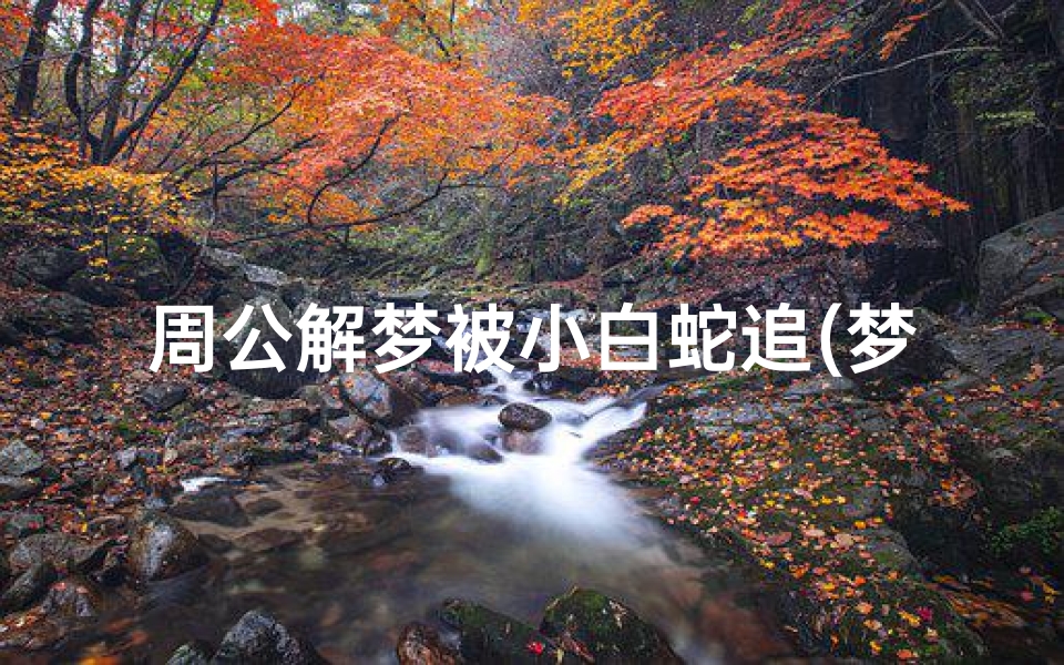 周公解梦被小白蛇追(梦见自己被白色的蛇追好不好)