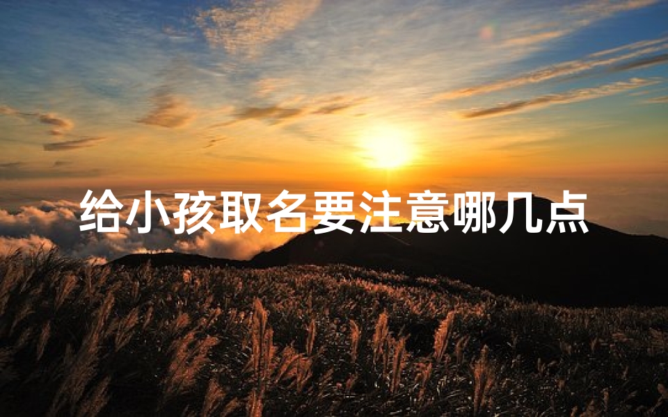 给小孩取名要注意哪几点—《宝宝取名：四大注意事项揭秘》