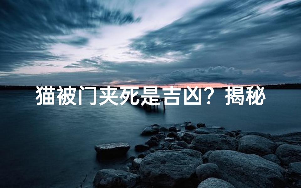 猫被门夹死是吉凶？揭秘神秘预兆