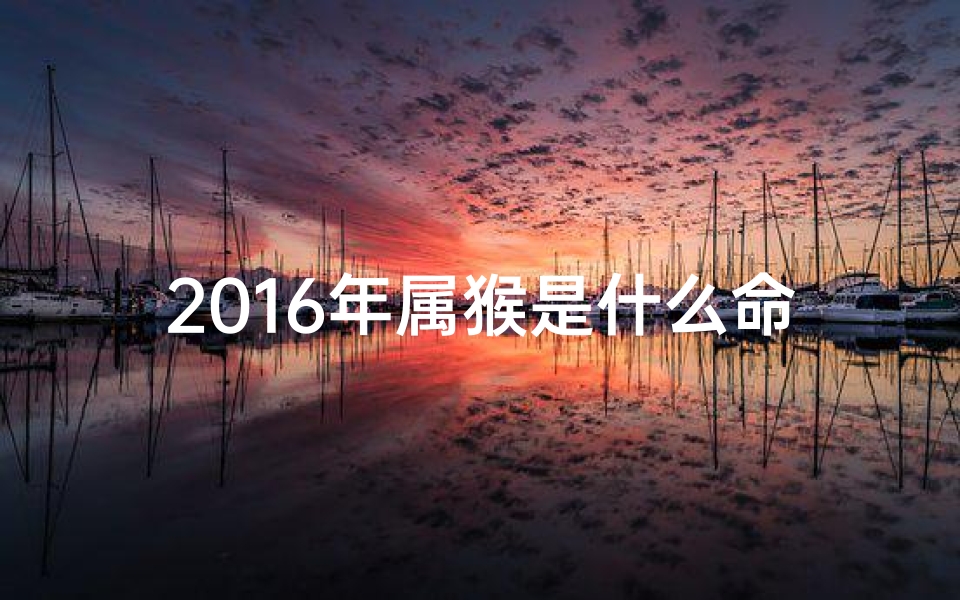 2016年属猴是什么命格、2016猴年命格揭秘：生肖猴运势大解析