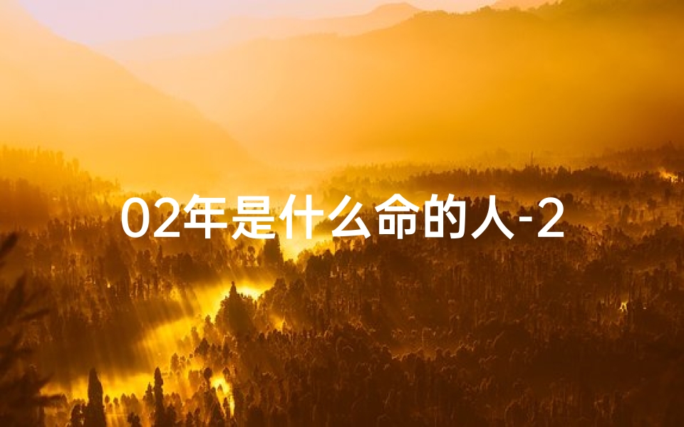 02年是什么命的人-2002年：揭秘那年的命格之谜