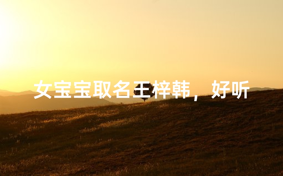 女宝宝取名王梓韩，好听吗？寓意美好，快来取名吧