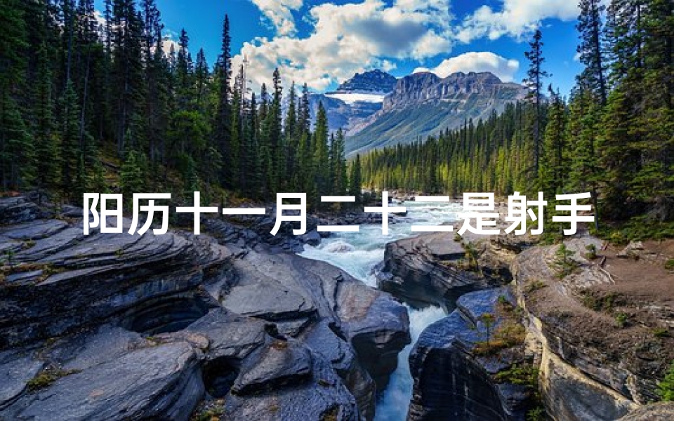 阳历十一月二十二是射手座吗？探寻星座奥秘