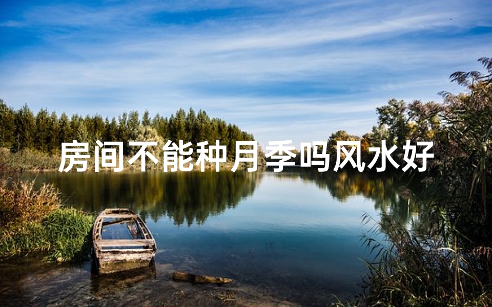 房间不能种月季吗风水好吗_房间不能种月季吗风水好吗图片
