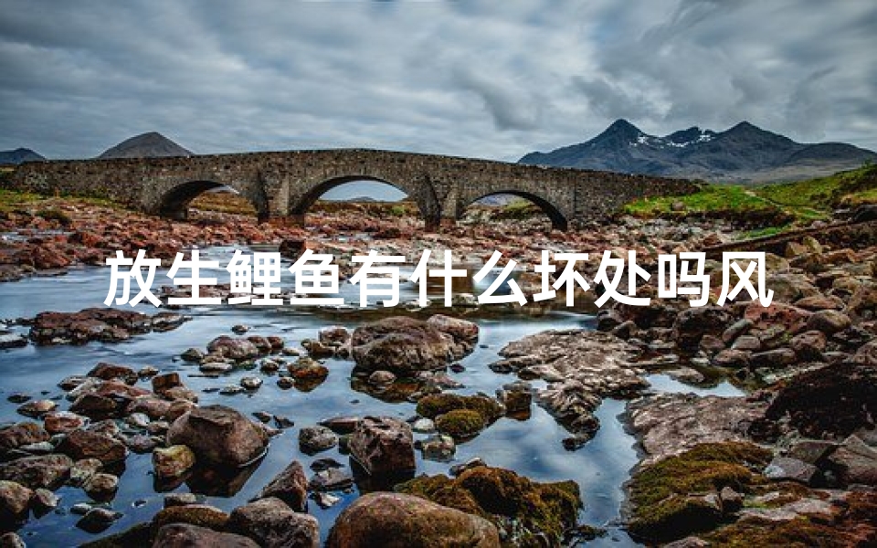 放生鲤鱼有什么坏处吗风水
