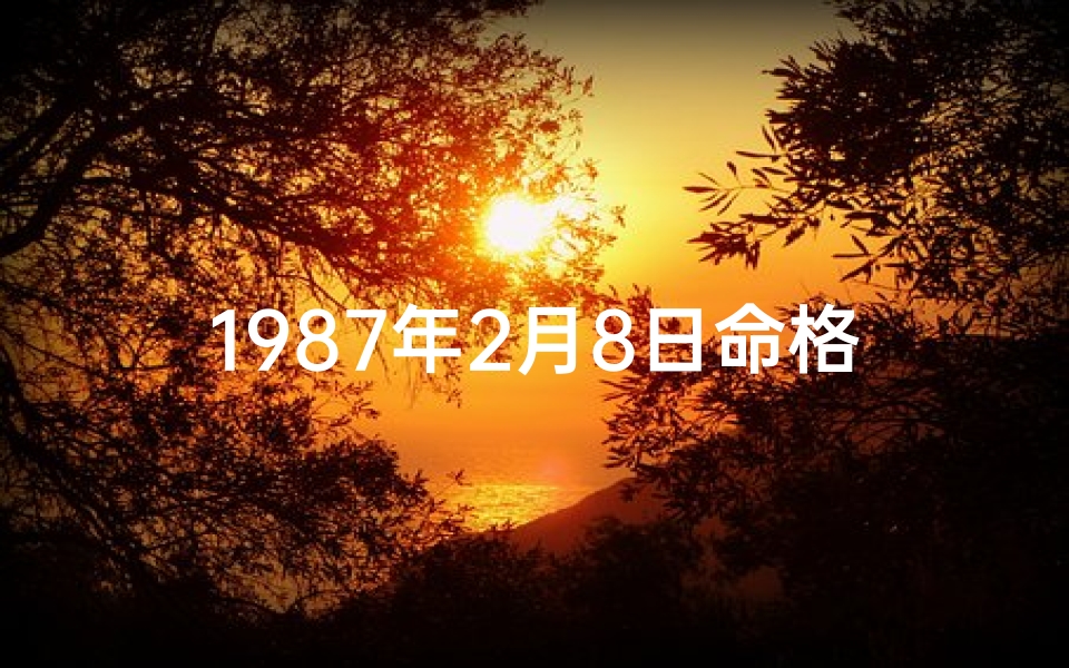 1987年2月8日命格-1987年2月8日阴历