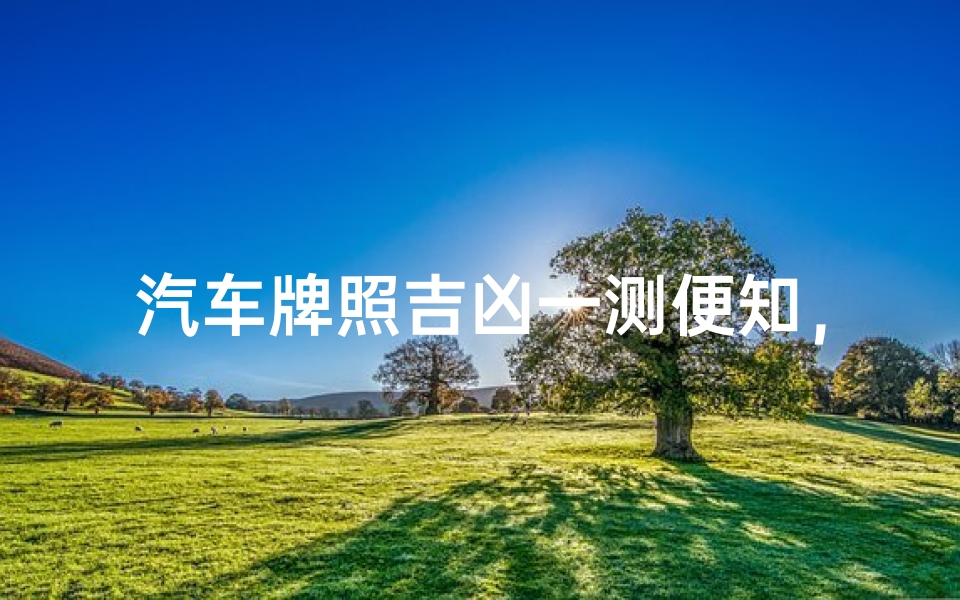 汽车牌照吉凶一测便知，运势揭秘网