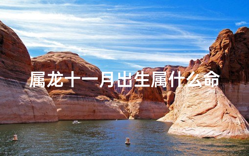 属龙十一月出生属什么命,属龙十一月出生命运揭秘：揭秘你的生肖运势