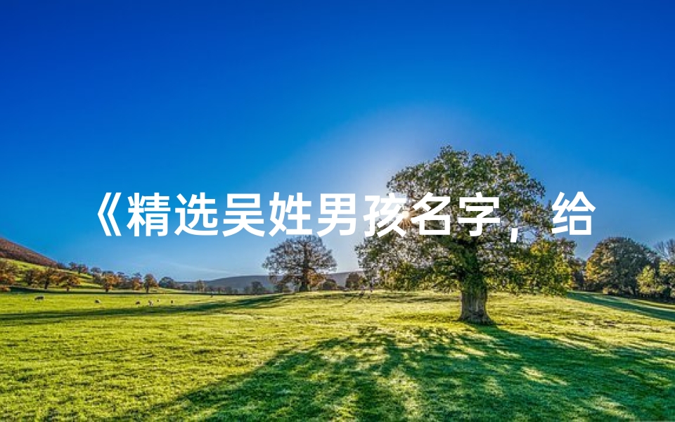 《精选吴姓男孩名字，给宝宝起名新灵感》