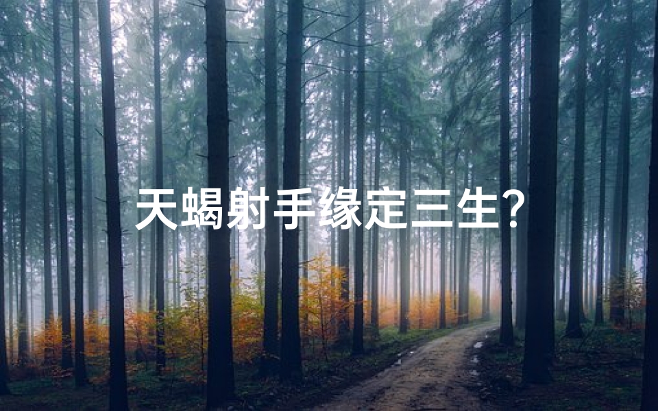 天蝎射手缘定三生？