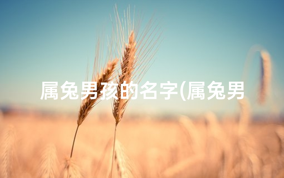 属兔男孩的名字(属兔男宝宝取名属木：探寻木属性的最佳吉祥名)