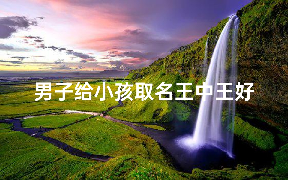 男子给小孩取名王中王好吗-王中起名字