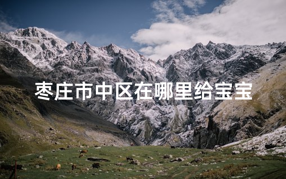 枣庄市中区在哪里给宝宝起名字(枣庄市市中区复兴路在哪)