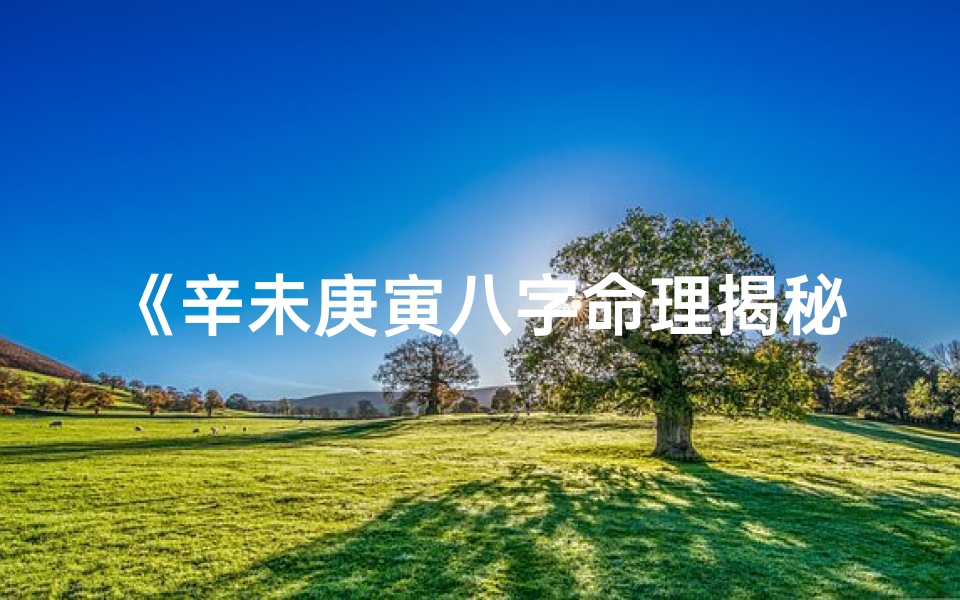 《辛未庚寅八字命理揭秘：精准人生预测之道》