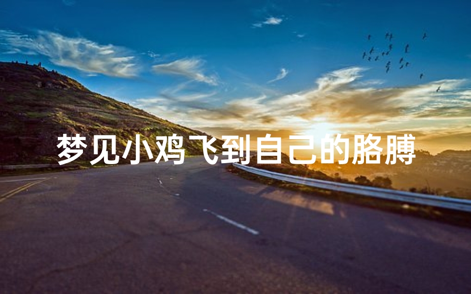梦见小鸡飞到自己的胳膊上好不-梦见鸡飞到自己肩膀上
