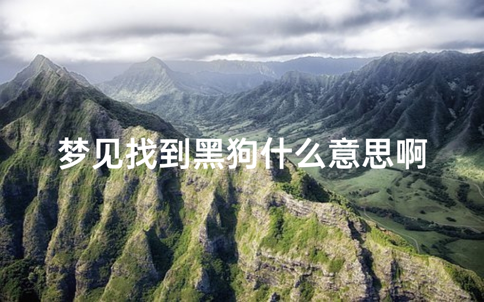 梦见找到黑狗什么意思啊(梦见找大黑狗)