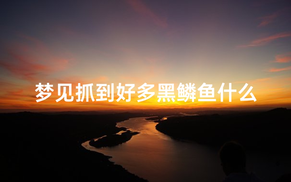 梦见抓到好多黑鳞鱼什么预兆;梦到抓到很多黑鱼是什么预兆