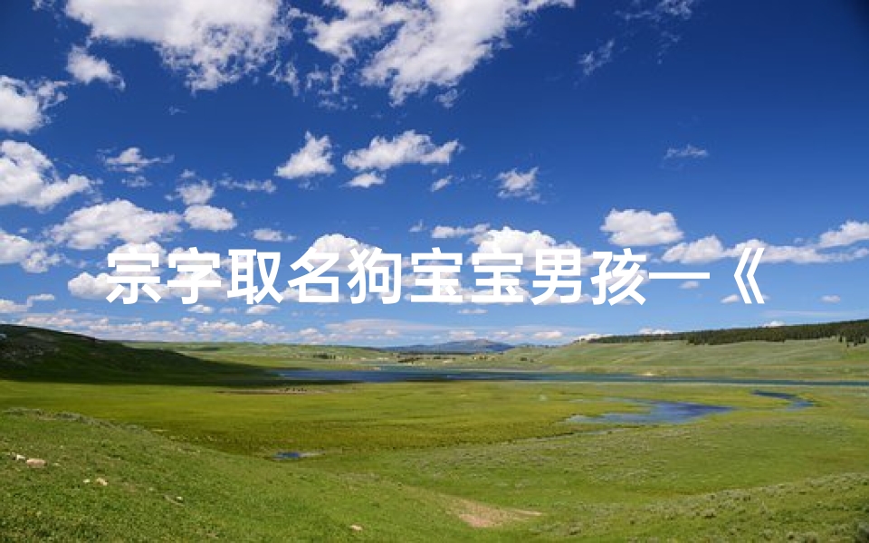 宗字取名狗宝宝男孩—《宗字传承，萌宝狗狗男孩新名揭晓》