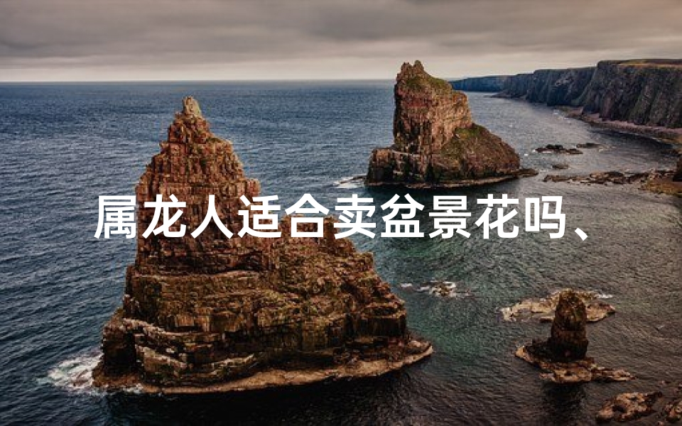 属龙人适合卖盆景花吗、属龙人卖盆景花：财运亨通的选择