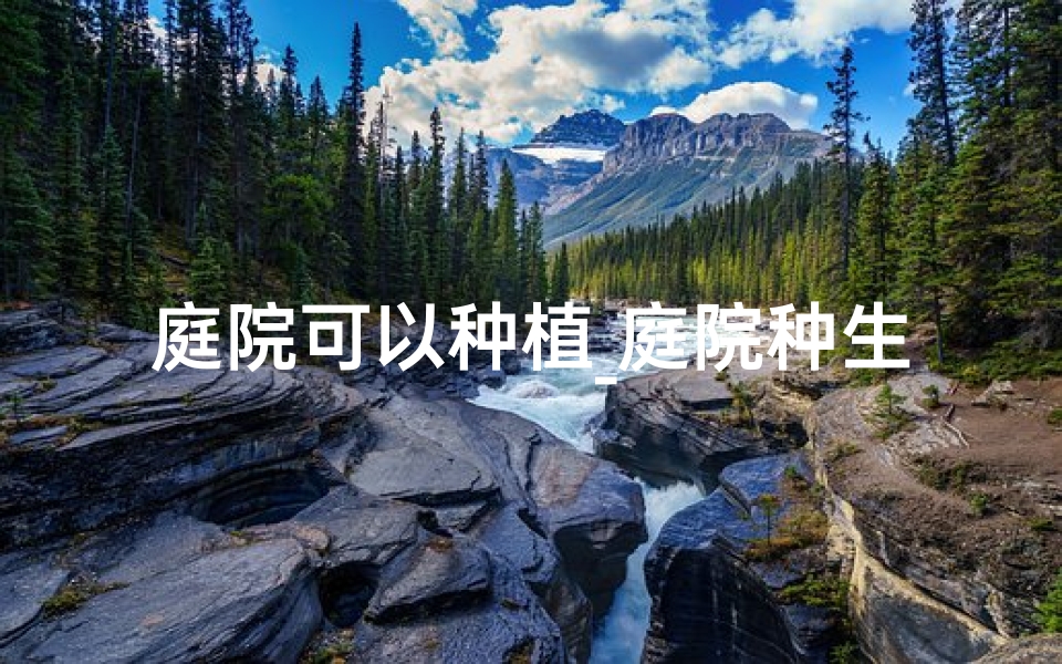 庭院可以种植_庭院种生菜风水佳宜否？