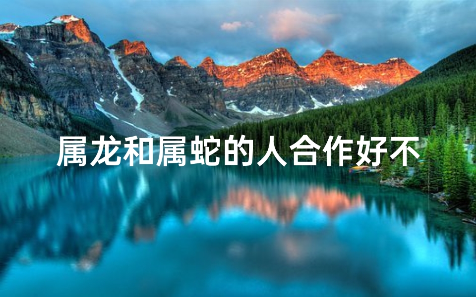 属龙和属蛇的人合作好不好—龙蛇共舞，合作共赢