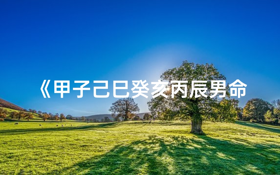 《甲子己巳癸亥丙辰男命八字解析》