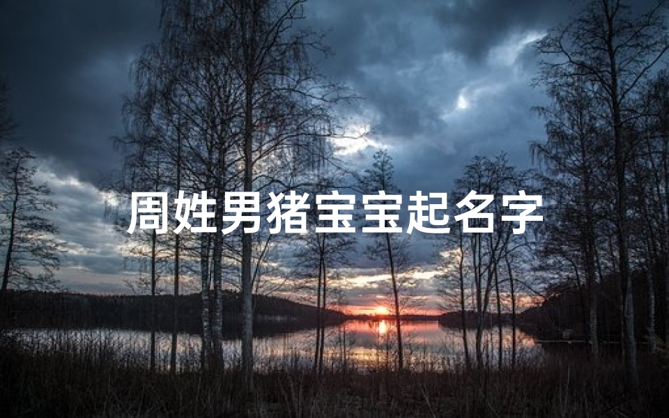 周姓男猪宝宝起名字