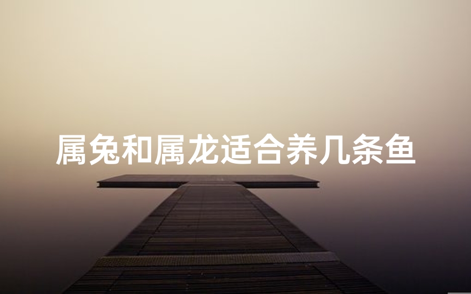 属兔和属龙适合养几条鱼