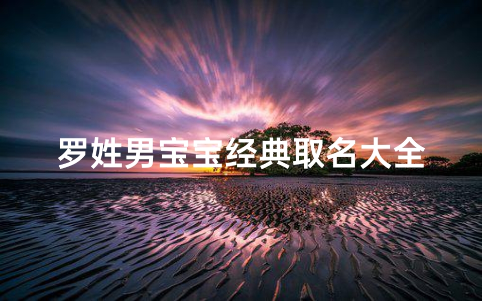 罗姓男宝宝经典取名大全—罗氏男宝宝经典取名：传承家风，智慧成长