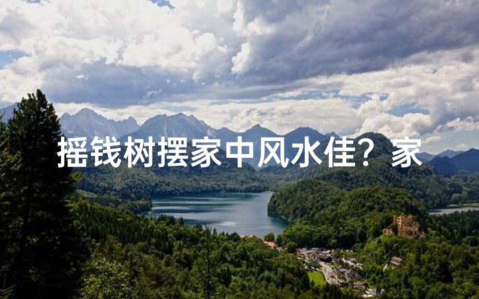摇钱树摆家中风水佳？家居财运提升秘籍