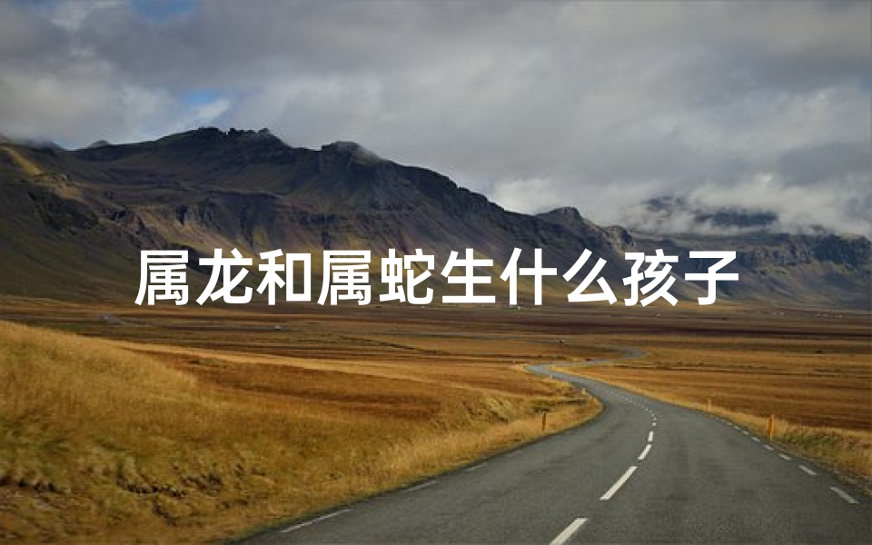 属龙和属蛇生什么孩子