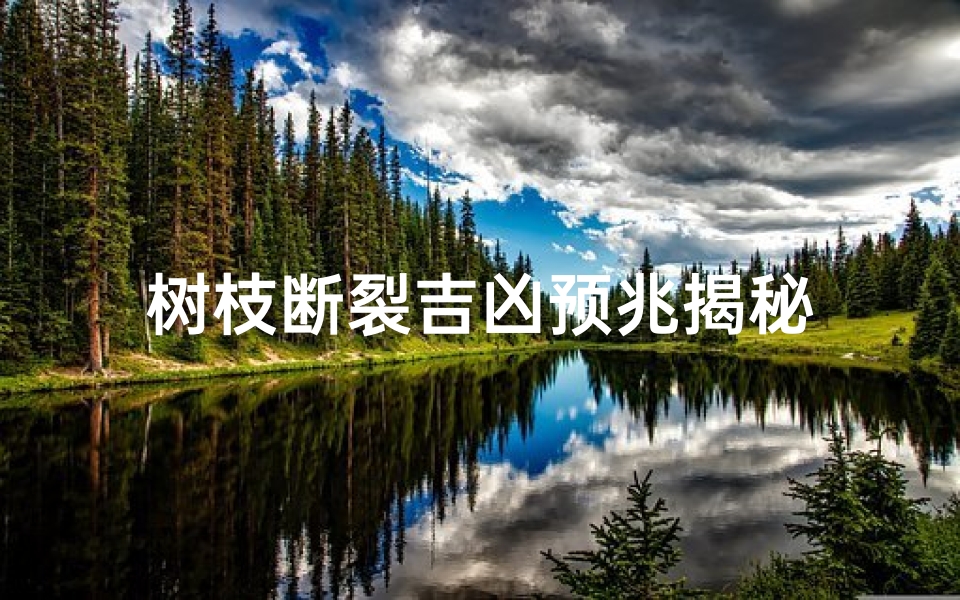 树枝断裂吉凶预兆揭秘