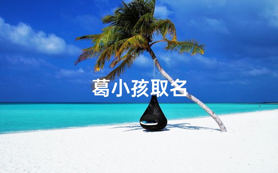葛小孩取名