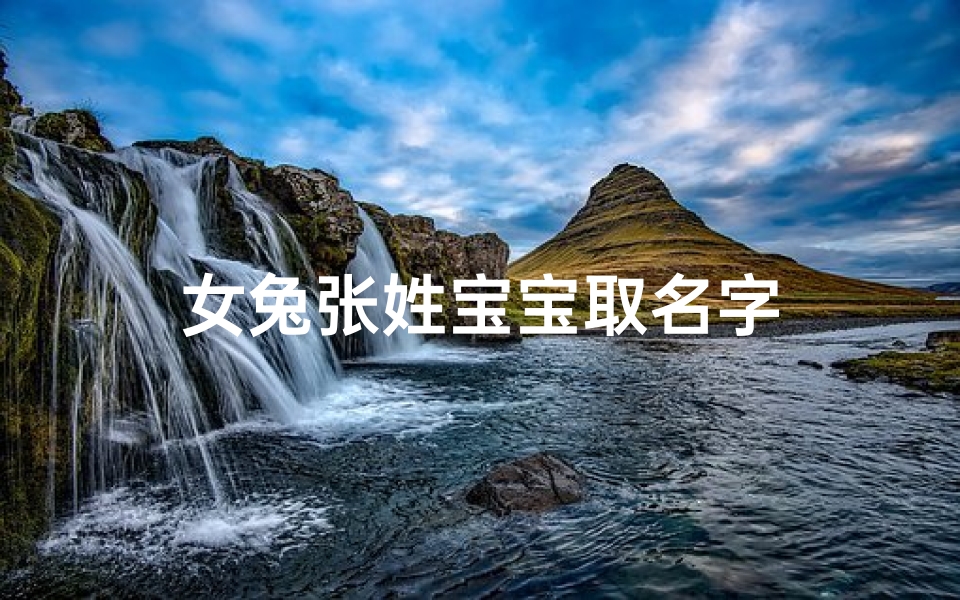 女兔张姓宝宝取名字