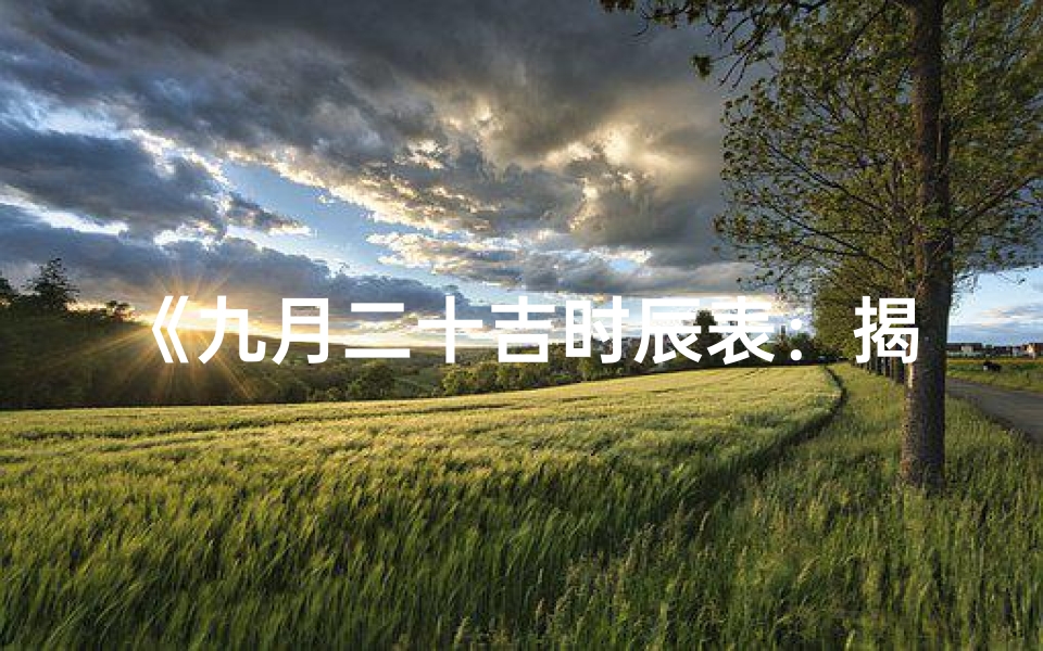 《九月二十吉时辰表：揭秘每日吉凶时刻》