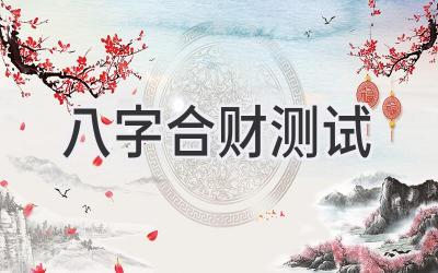 八字合财测试
