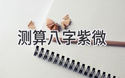 测算八字紫微